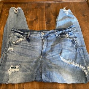 Terra & Sky distressed light wash skinny jeans